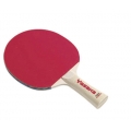Yasaka School Bat