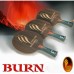 DONIC Burn Off- Table Tennis Blade