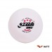 Glo-tube DHS WTT Competition Table Tennis Balls Three Star White