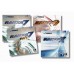 Yasaka Rakza 7 Soft Table Tennis Rubber